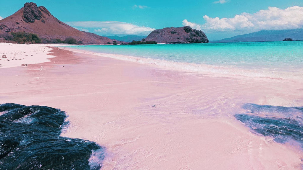 Pink beach in Komodo National Park
